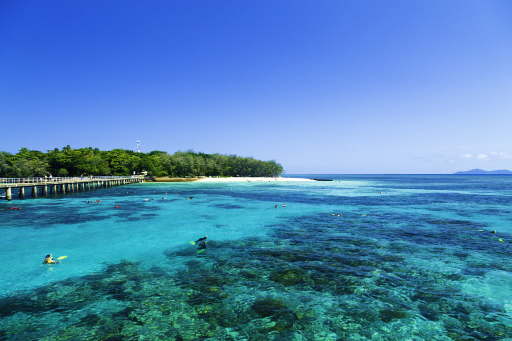 Das Great Barrier Reef in Cairns, Ostaustralien