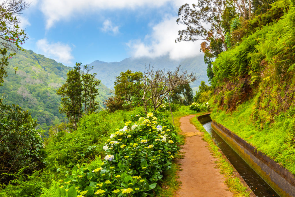 Wanderweg auf Madeira