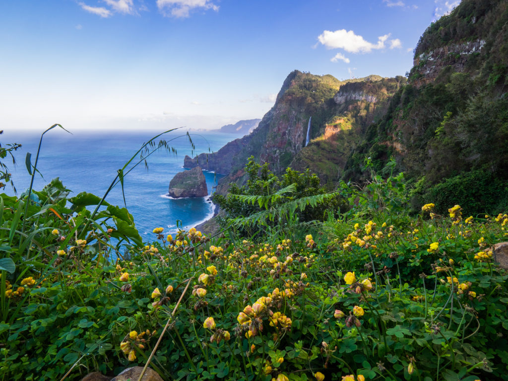 Blumeninsel Madeira - Juwel im Atlantischen Ozean
