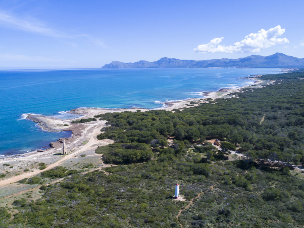 Küste von Can Picafort, Mallorca