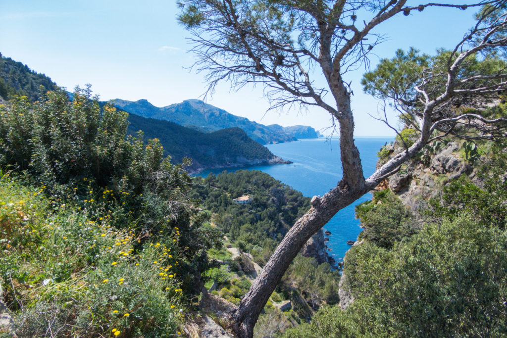 Aussicht auf das Mittelmeer, Mallorca
