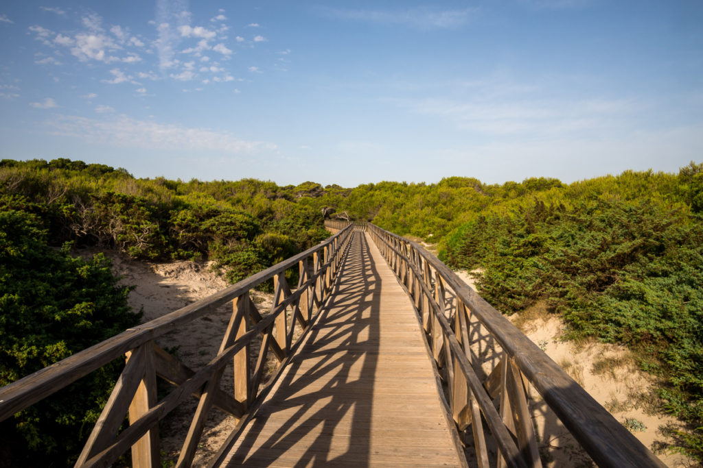 Naturschutzgebiet S'Albufera in Can Picafort, Mallorca