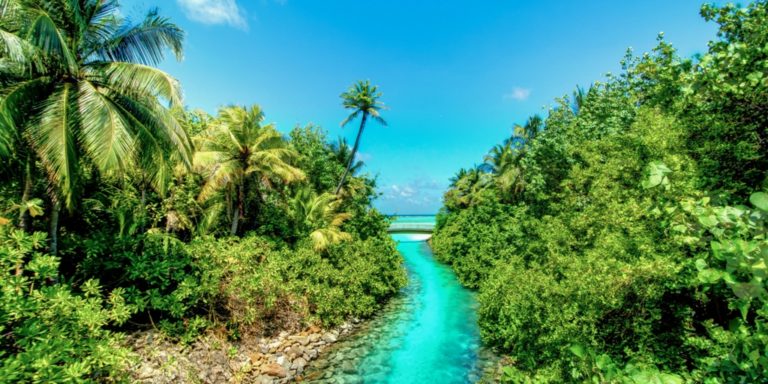 Reisewarnung für die Malediven Reisewarnung für die Malediven