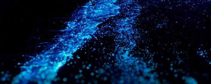 Sea of Stars: leuchtendes Meer auf den Malediven