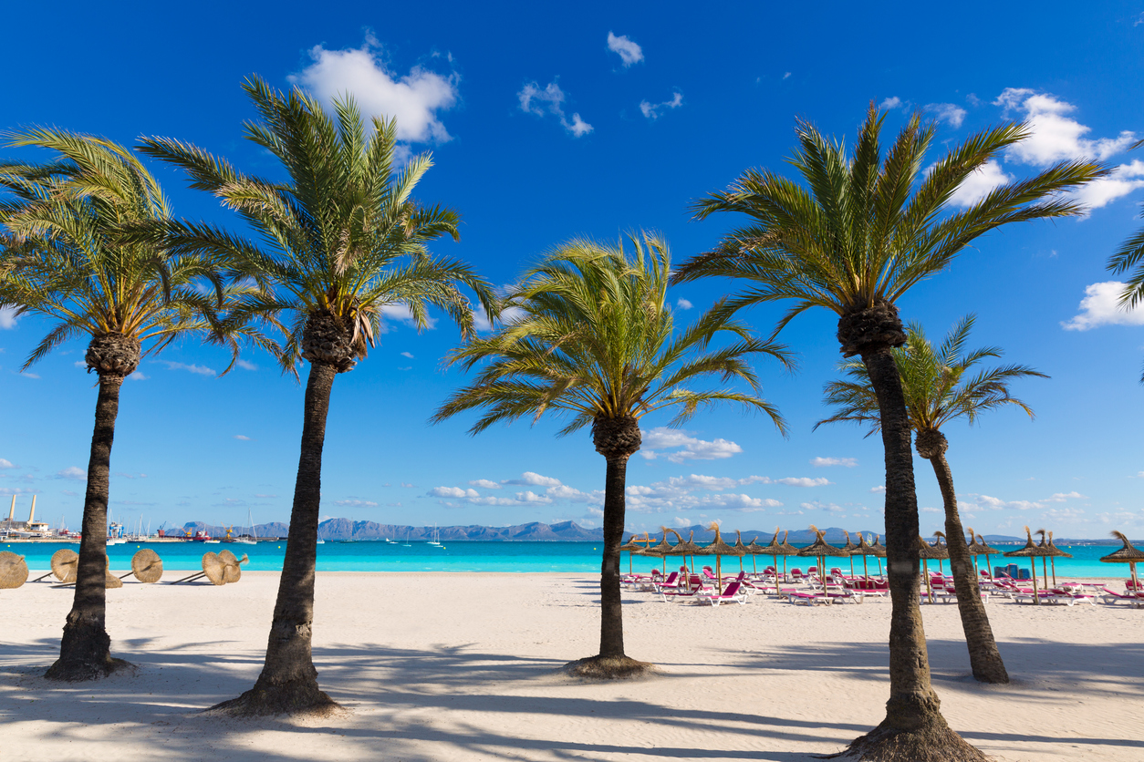 Playa de Alcudia auf Mallorca