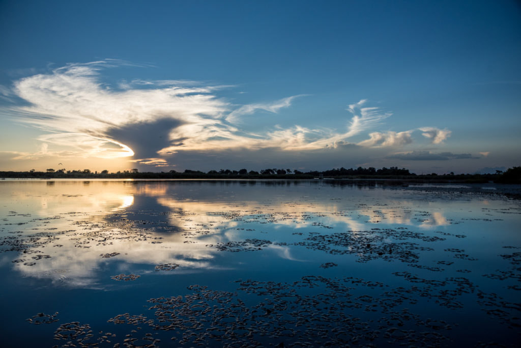 Wasser im Okvanga Delta