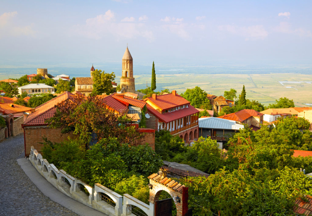 Weinberge in Kachetien, Georgien
