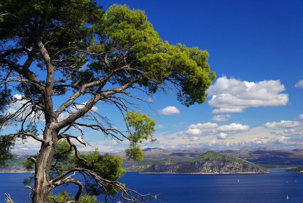 Elaphitische Inseln, Kroatien