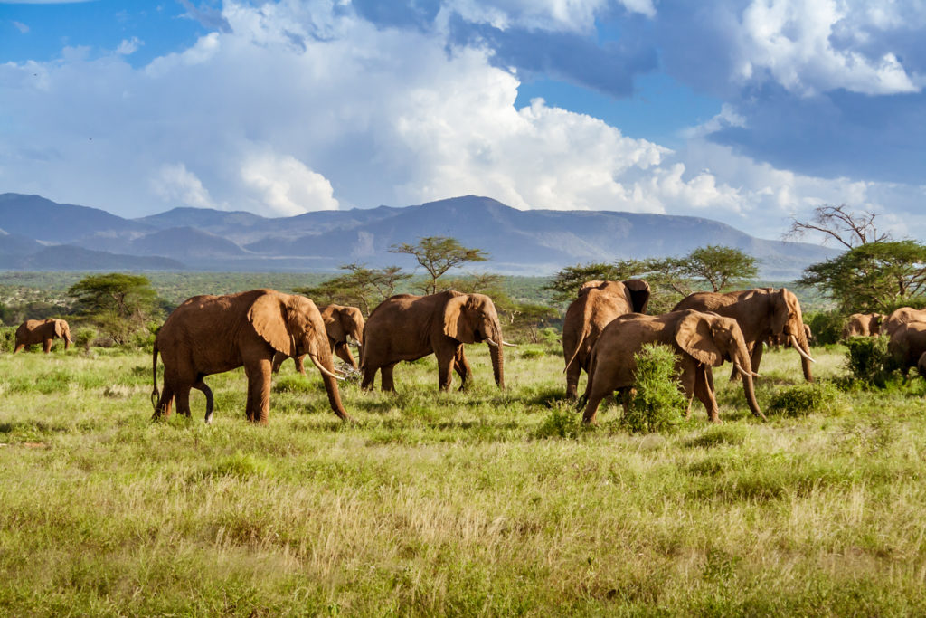 Nationalpark in Südafrika