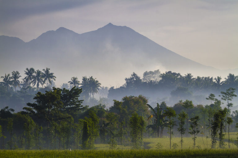 eSIM für Indonesien: Top 10 Anbieter im Vergleich