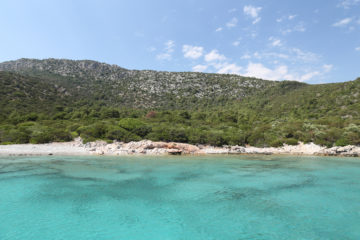 Last Minute Bodrum