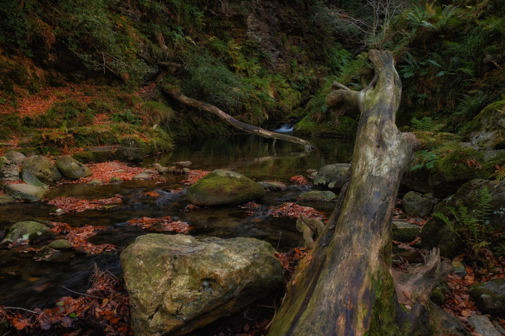 Herbst in Irland