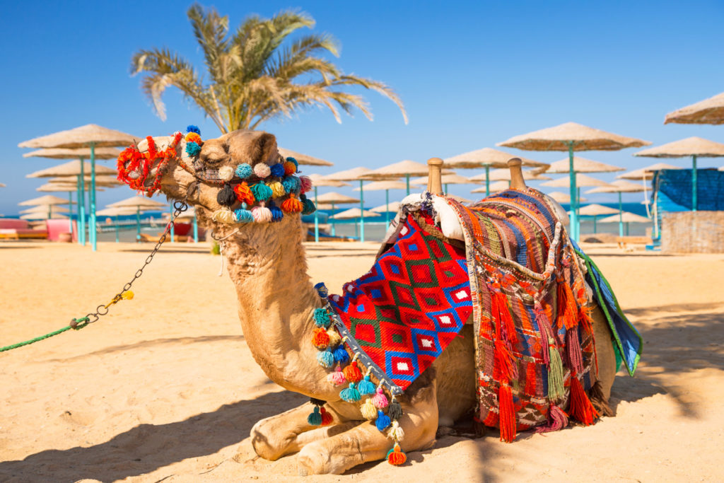 Hurghada, Ägypten