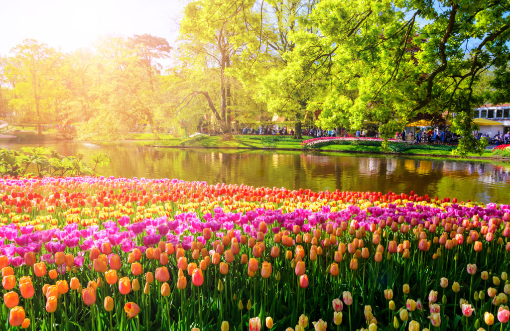 Keukenhof in Lisse, Holland