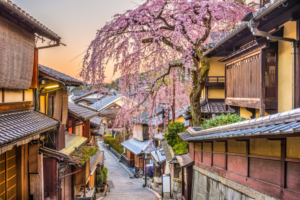 Kirschblüte in Kyoto, Japan