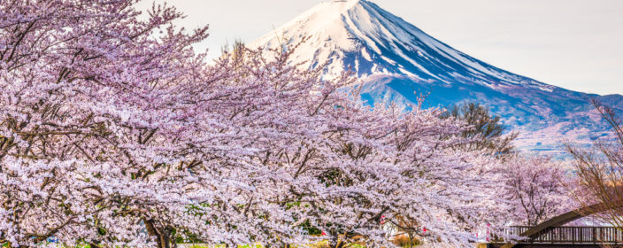 Mount Fuji, Japan