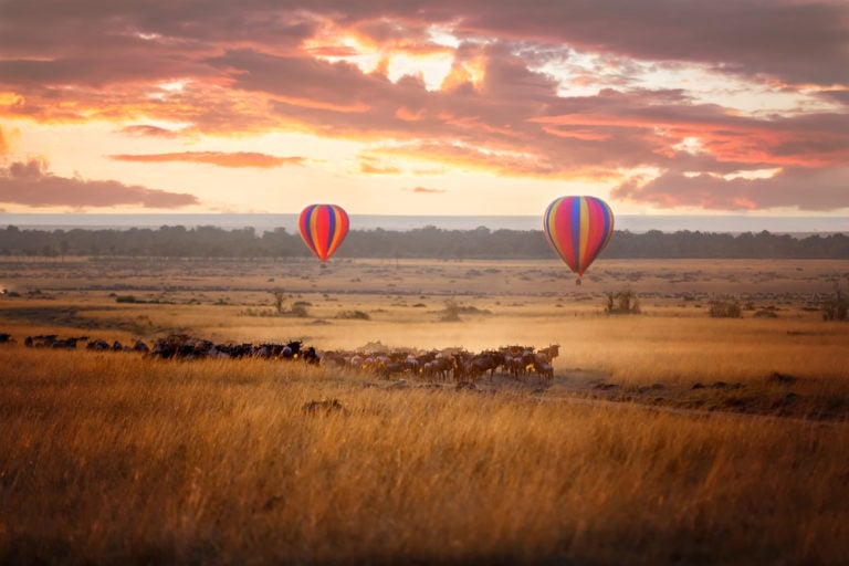 Masai Mara in Kenia