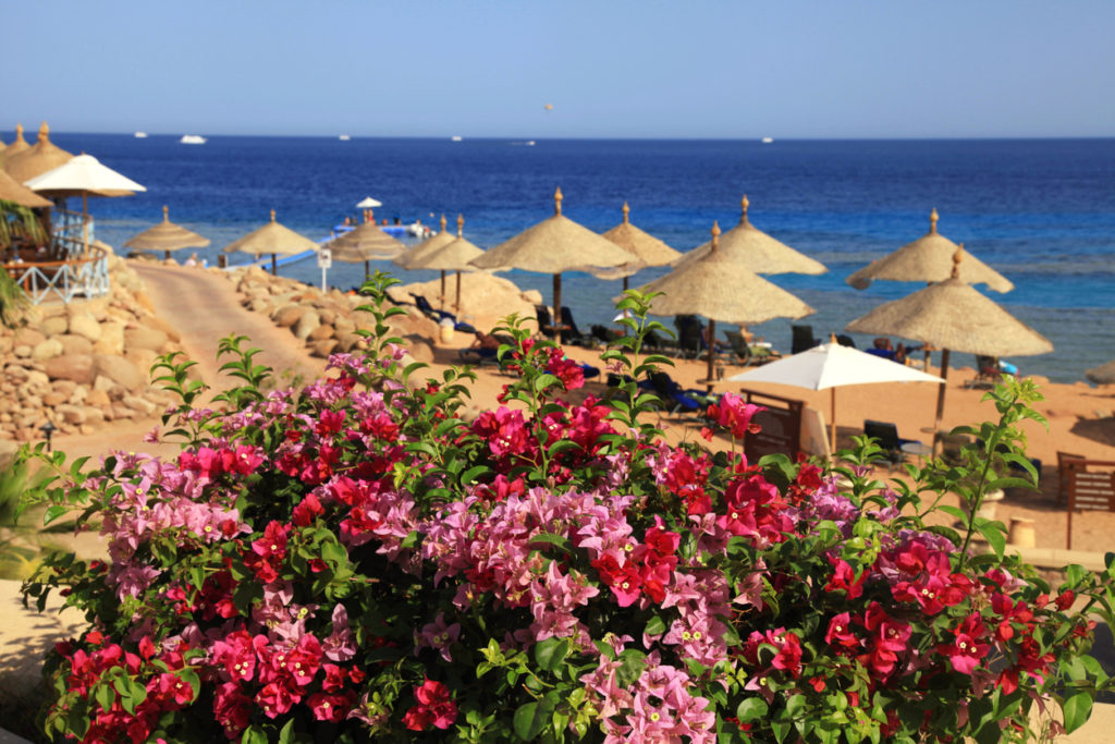 Strand vom Roten Meer in Hurghada, Ägypten