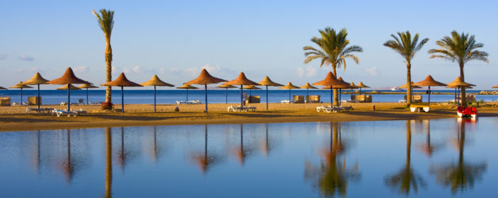 Palmen am Strand von Hurghada, Ägypten