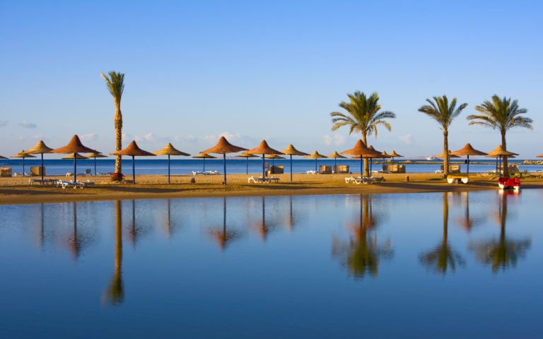 Palmen am Strand von Hurghada, Ägypten