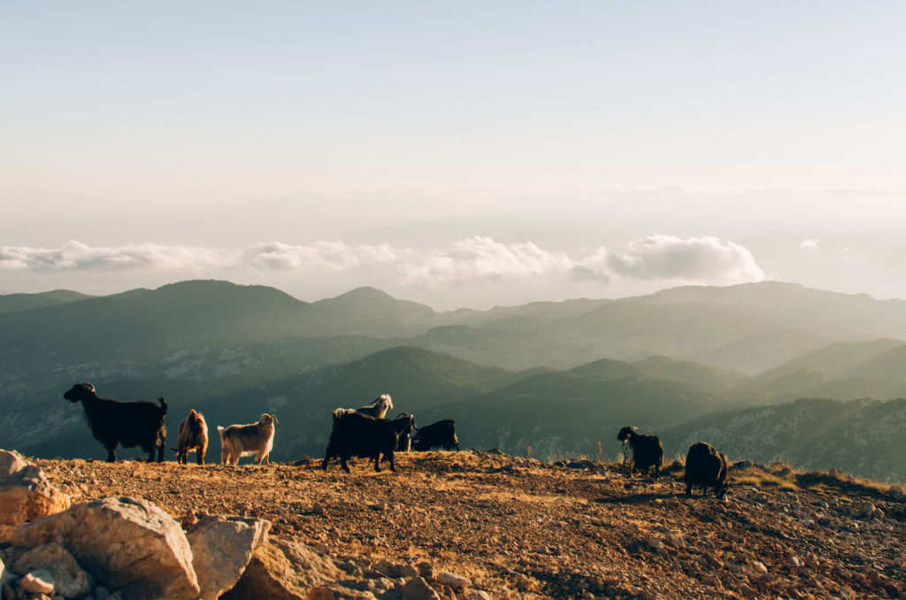 Blick vom Tahtali Berg, Türkei