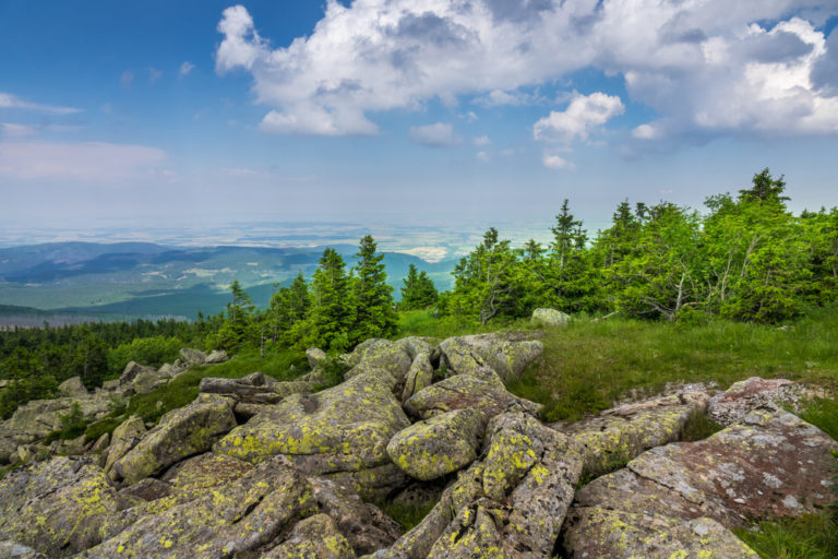 Urlaub im Harz