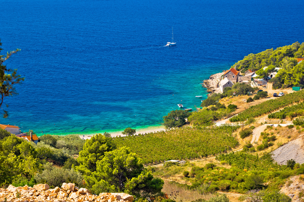 Aussicht auf Weinberge auf Brac, Kroatien
