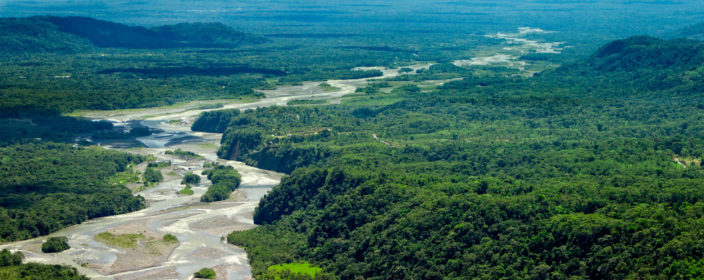 Amazonas Regenwald in Ecuador