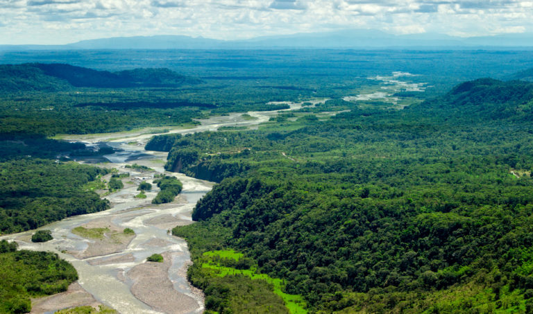 Amazonas Regenwald in Ecuador