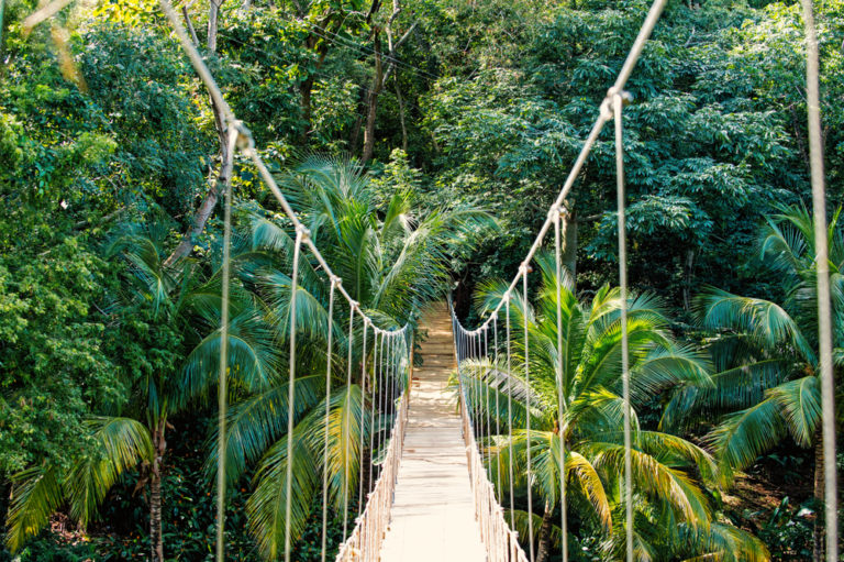 Beste Reisezeit Honduras Dschungel von Honduras