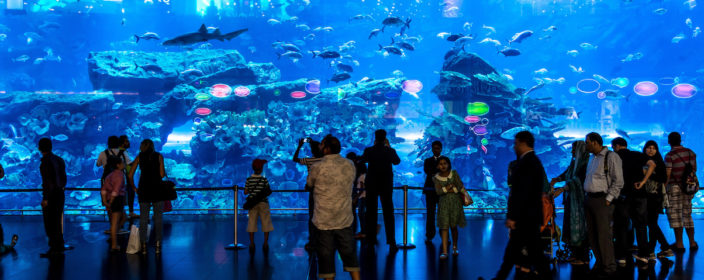 Dubai Aquarium