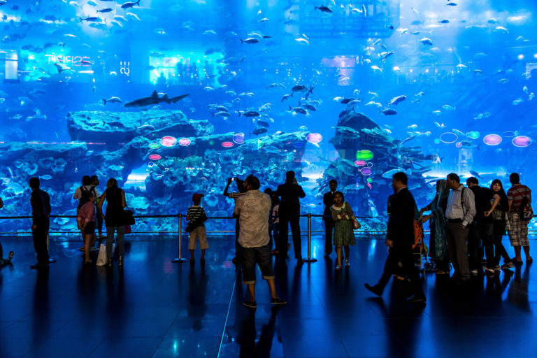 Dubai Aquarium