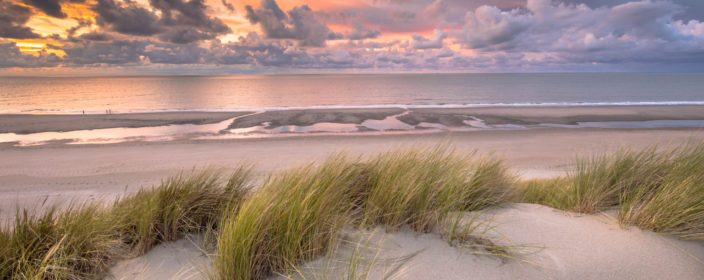 Dünen und Meer an der Nordsee