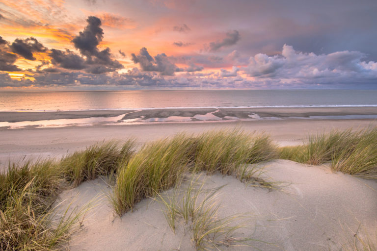 Dünen und Meer an der Nordsee