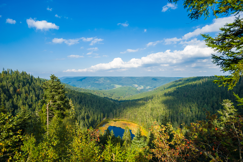 Nationalparks in Deutschland