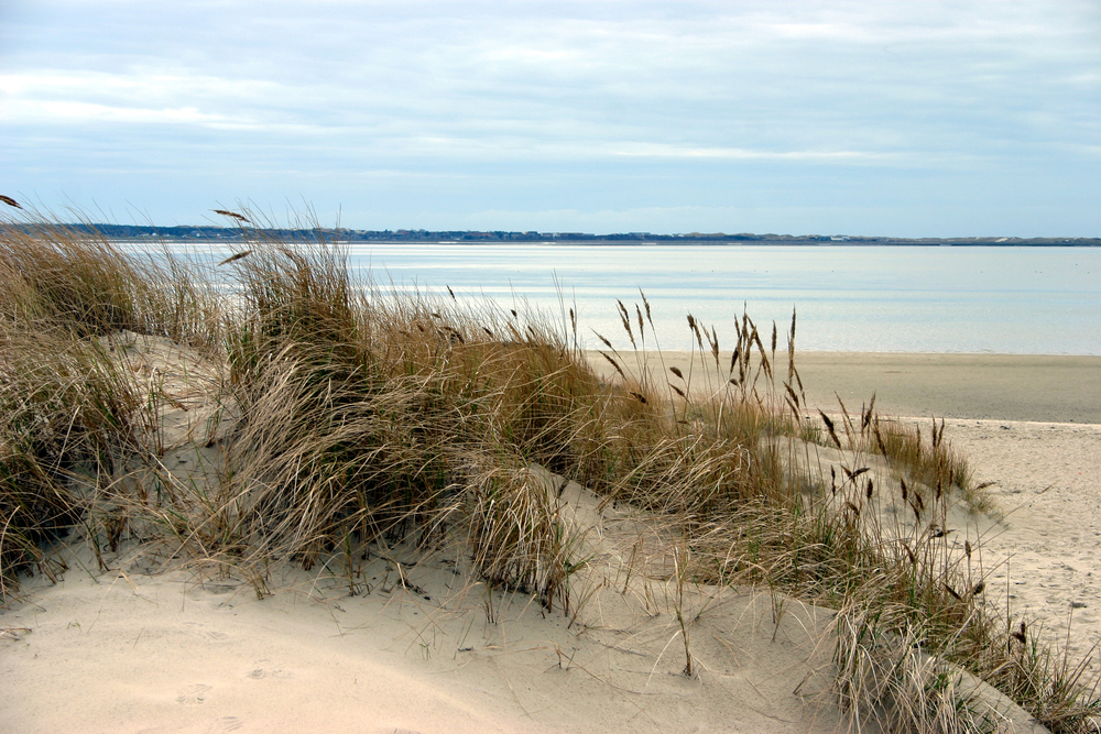 Strand auf der Deutschen Nordseeinsel Föhr