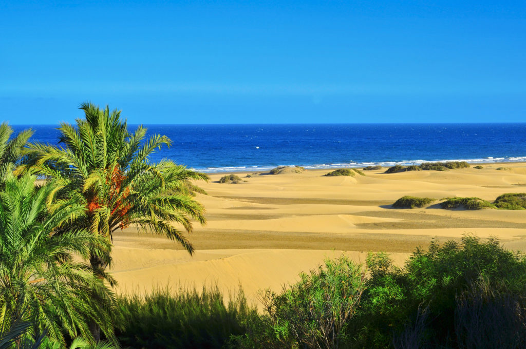 Dünen Maspalomas